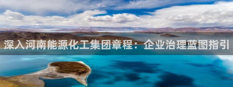 球盟会进不去球员吗：深入河南能源化工集团章程：企业治理蓝图指