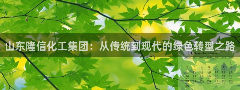 球盟会可以提现么：山东隆信化工集团：从传统到现代的绿色转型之