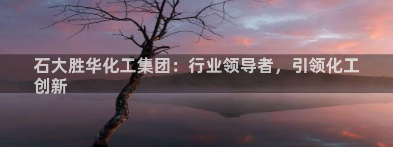 球盟会可以提现么是真的吗：石大胜华化工集团：行业领导者，引领