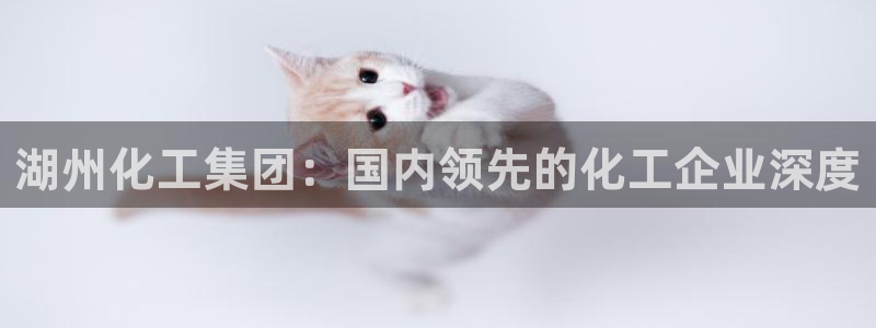 球盟会中国官方网站：湖州化工集团：国内领先的化工企业深度