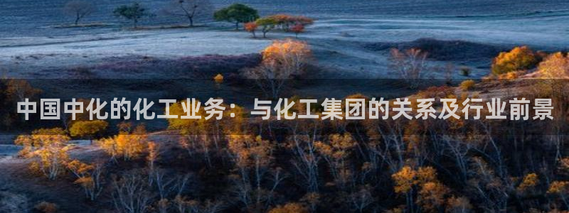 球盟会能退钱吗是真的吗：中国中化的化工业