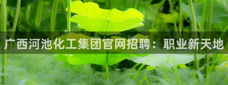 球盟会在线网站：广西河池化工集团官网招聘：职业新天地